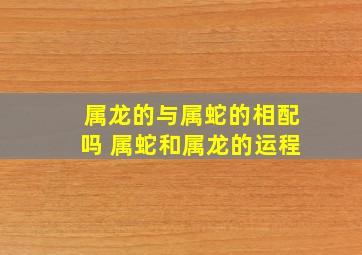 属龙的与属蛇的相配吗 属蛇和属龙的运程